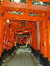Kyoto - Fushimi Inari Taisha 