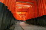 Fushimi Inari Taisha a Kyoto